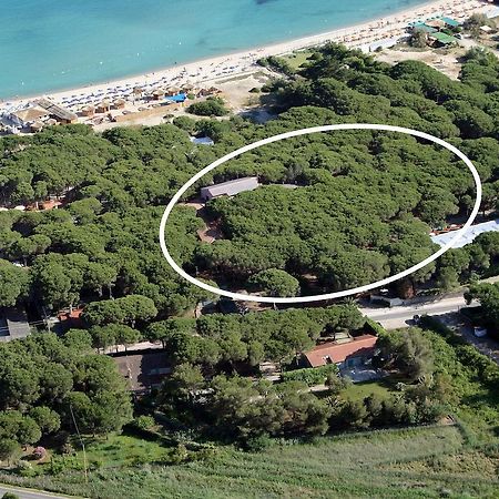 Hotel Villa Nettuno Marina di Campo Exteriér fotografie